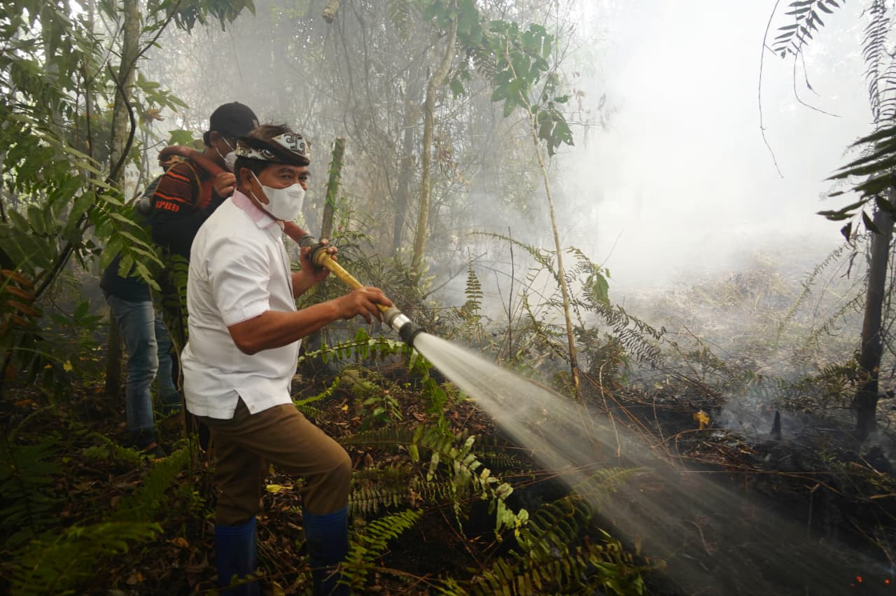 Gubernur Turun Langsung Padamkan Karhutla di Selimau 
